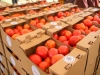 Ghana launches Tomato Self-Sufficiency Initiative to boost local production