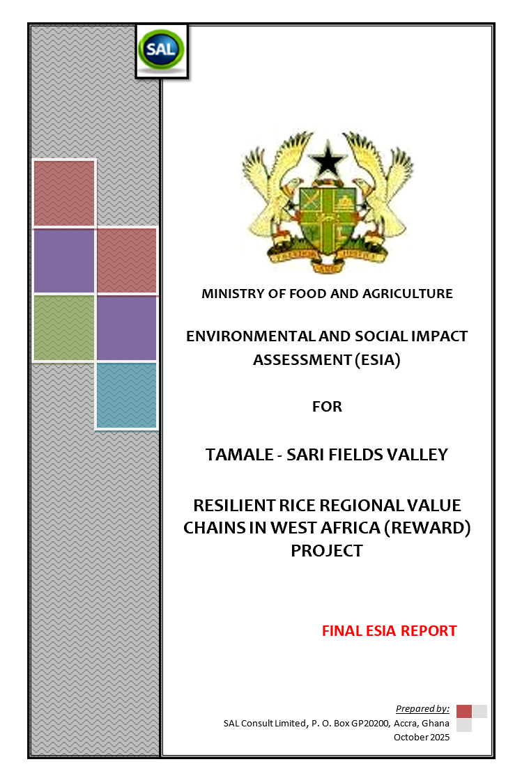 Tamale Sari Fields Valley