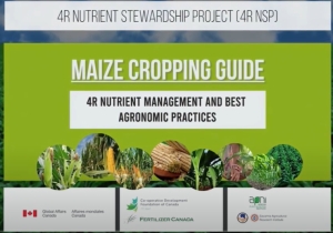 MAIZE CROPPING GUIDE