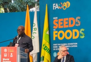 Smallholder Farmers are the Originator of Food in the World - Ghana&#039;s Agric Minister, Eric Opoku